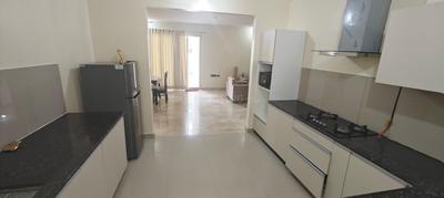 Kitchen Image of 2800 Sq.ft 4 BHK Apartment / Flat for sale in Nyati Esteban I, Mohammed Wadi Pune for Rs. 25000000