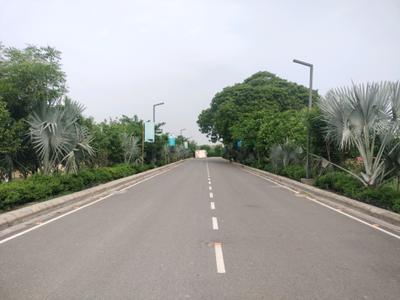 Amolik Aster Woods Internal Roads 1