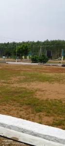 Image of 1000 Sq.ft Residential Plot / Land for sale in Senthamangalam, Namakkal for Rs. 1350000