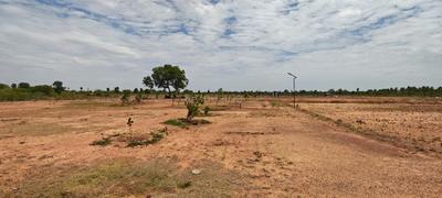Image of 11104 Sq.ft Residential Plot / Land for sale in Sooriyur, Tiruchirappalli for Rs. 1765377