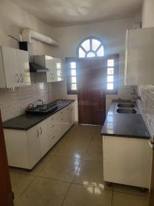 Kitchen Image of 2300 Sq.ft 3 BHK Builder Floor for rent in TDI Connaught Residency, Sector 74 A Mohali for Rs. 30000