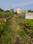 Sonargaon 2 Main Image 1