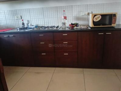 Kitchen Image of 1320 Sq.ft 2 BHK Apartment / Flat for rent in Pumpwell Mangalore for Rs. 33000