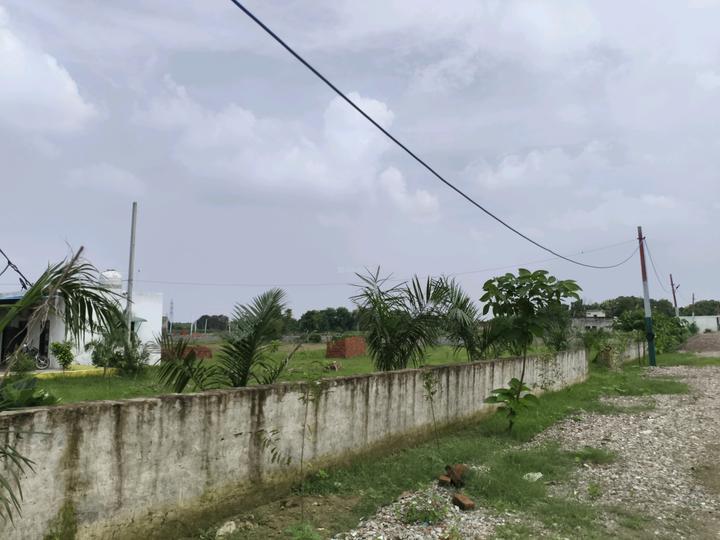 shree green city Tilpata  chok Main Image 1