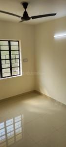 Hall Image of 742 Sq.ft 3 BHK Apartment / Flat for rent in Civil Lines Raipur for Rs. 12000