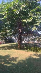 Image of 1211 Sq.ft Residential Plot / Land for sale in Bhilai Marshalling Yard, Charoda for Rs. 1900000