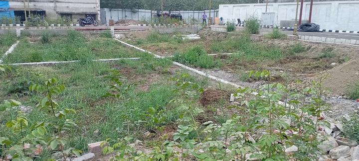 Imperial Aishbagh Gardens Main Image 1