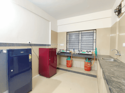 Image of Colive Whitewings in Whitefield, Bengaluru