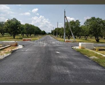 Image of 1456 Sq.ft Residential Plot / Land for sale in Sri Padmavati Mahila Visvavidyalayam, Tirupathi for Rs. 2950000