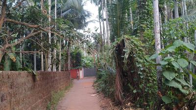Chevayur Plot View 2