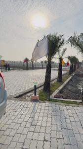 Phase Plot View 1