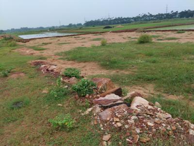 Image of 1500 Sq.ft Residential Plot / Land for sale in Benupur, Bhubaneswar for Rs. 3450000