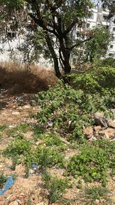 Image of 3249 Sq.ft Residential Plot / Land for sale in Snehita Hills, Bandlaguda Jagir, Hyderabad for Rs. 41000000