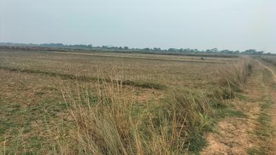 Image of 21780 Sq.ft Residential Plot / Land for sale in Kairi, Bhubaneswar for Rs. 8000000