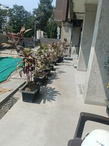 Image of 1650 Sq.ft 3 BHK Apartment / Flat for sale in Pal Gam, Surat for Rs. 7000000