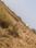 Arisol Main Image 1