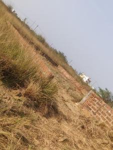 Arisol Plot View 1