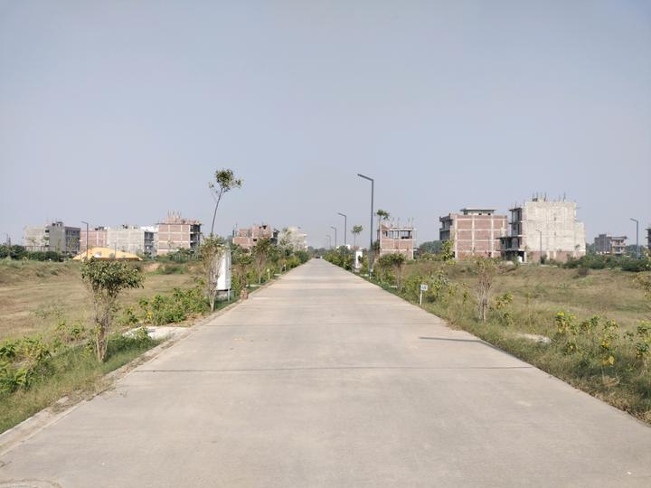 Amolik Aster Woods Main Image 1