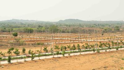 Image of 167 Sq.ft Residential Plot / Land for sale in Maheshwaram, Hyderabad for Rs. 3674010