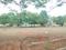 Paradise Attibele Plot View 2