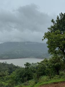 Image of 11000 Sq.ft Residential Plot / Land for sale in Velhe Bk., Pune for Rs. 2200000
