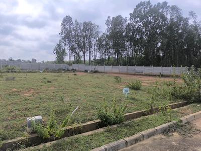 Image of 1200 Sq.ft Residential Plot / Land for sale in Hoskote, Bengaluru for Rs. 3420100