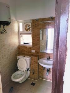 Image of 1100 Sq.ft 2 BHK Apartment / Flat for rent in The 3C Lotus Zing, Sector 168, Noida for Rs. 23500
