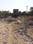 Paldi Meena Main Image 1