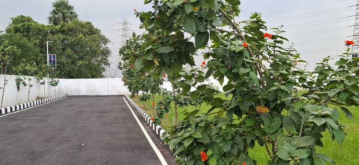 Alamathi Main Image 1