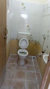 Bathroom Image of 450 Sq.ft 1 BHK Independent House for rent in Nagondanahalli Bengaluru for Rs. 9500