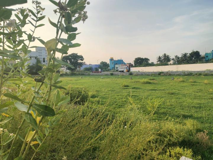 Manish Avenue Main Image 1