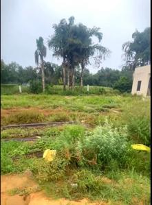 Residential Plot