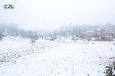 Image of 240 Sq.ft Residential Plot / Land for sale in Majkhali, Ranikhet for Rs. 3960000