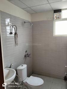 Bathroom Image of 750 Sq.ft 3 BHK Apartment / Flat for rent in Terra Lavinium, Sector 75 Faridabad for Rs. 18000