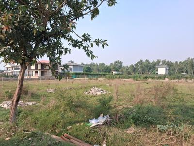 Image of 9072 Sq.ft Residential Plot / Land for sale in Dkrrish Alaska Farms, Sector 135, Noida for Rs. 8500000