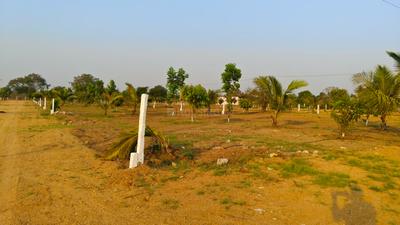 Image of 242 Sq.ft Residential Plot / Land for sale in Nedunur, Hyderabad for Rs. 2900000