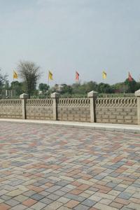Phagi Plot View 3