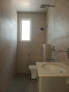 Common Bathroom Image of 1250 Sq.ft 2 BHK Apartment / Flat for sale in Trinity Casa View Apartment 4, Noida Extension Greater Noida for Rs. 4750650
