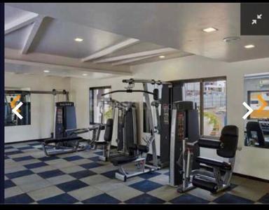 Image of 1507 Sq.ft 3 BHK Apartment / Flat for rent in Wagholi, Pune for Rs. 28000
