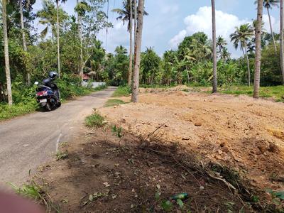 Kottarakkara Plot View 3