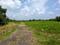 Diamond Park, Joka Plot View 2