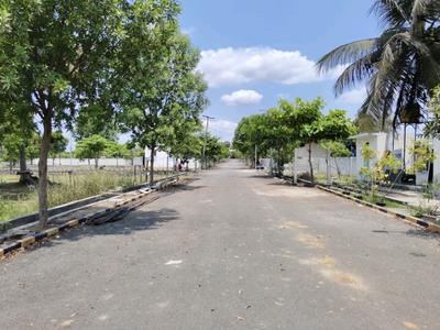 RLD Royal Bloom Internal Roads 2