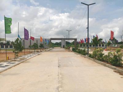 Century Nature City Internal Roads 1