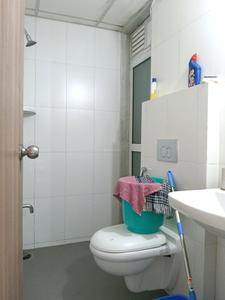 Common Bathroom Image of 700 Sq.ft 1.5 BHK Apartment / Flat for rent in Godrej Emerald, Kasarvadavali Thane for Rs. 27699