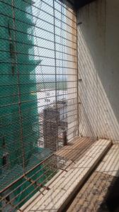 Image of 600 Sq.ft 1 BHK Apartment / Flat for sale in Romell Empress, Borivali West, Mumbai for Rs. 11000000