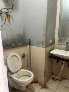 Bathroom Image of 380 Sq.ft 1 RK Studio for rent in Qube Hebitac Apartment , Knowledge Park 3 Greater Noida for Rs. 12000
