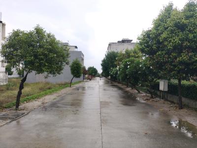 Image of 1260 Sq.ft Residential Plot / Land for sale in Soha Neal City, Sector 98, Faridabad for Rs. 18200000