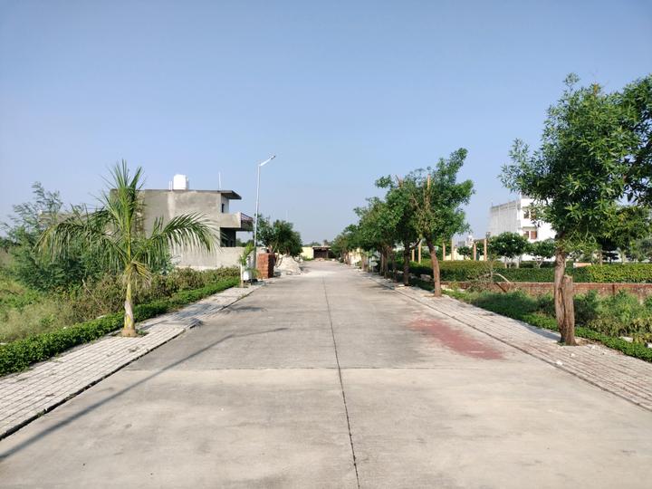 Soha Neal City Main Image 1