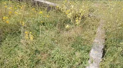 Image of 360 Sq.ft 2 BHK Independent House for sale in Molarband, New Delhi for Rs. 600000