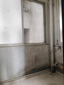 Drying Area Image of 1100 Sq.ft 2 BHK Apartment / Flat for rent in Surana Shantiban Phase II, Kondhwa Budruk Pune for Rs. 28000